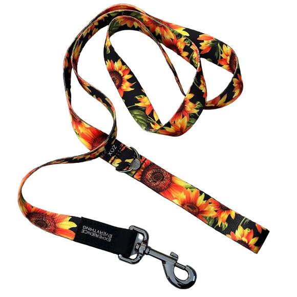 Zox Dog Leash - Radiate Positivity - Sunflower Orange 1" Wide Numbered 0233 - Picture 1 of 9